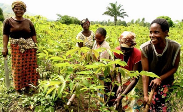 FAO : Mieux garantir les droits fonciers au Sénégal pour ouvrir la voie à l’agroécologie et à l’autonomisation des femmes