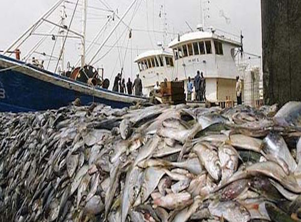 Gouvernance du secteur de la pèche :  A partir du 15 juillet, tout navire ne disposant pas d’une licence est interdit de pêche…
