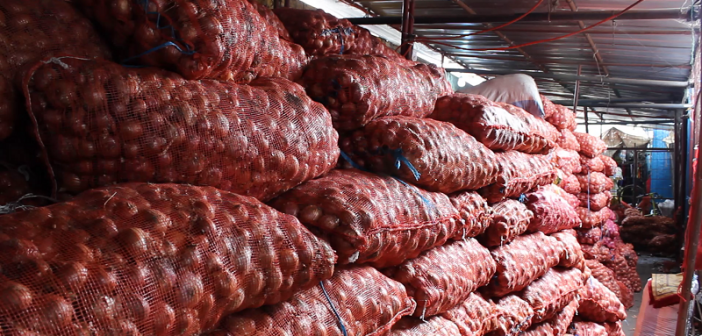 Commerce : cinquante tonnes d’oignon importées frauduleusement ont été saisie à la frontière avec la Mauritanie
