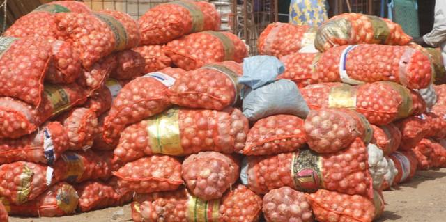 Surenchère à Touba : Les secrets de la forte spéculation sur le prix de l’ oignon