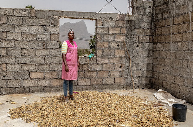 Histoire de la FAO source de Motivation : Parer aux aléas dans l’agriculture à Cabo Verde